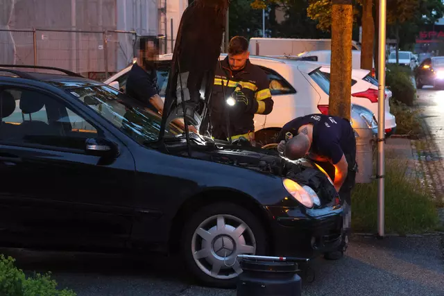 Für einen Schrecken beim Lenker eines Mercedes dürfte eine Schlange in Wels-Neustadt gesorgt haben, die sich während der Fahrt bemerkbar machte. | Foto: laumat.at