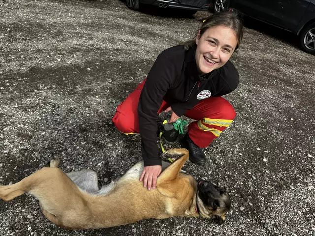 Die Österreichische Rettungshundebrigade (ÖRHB) führte Ende Mai eine große Landesübung mit allen zehn Staffeln, 70 Mitgliedern und 55 Hunden in Maria Schmolln durch. | Foto: ÖRHB OÖ