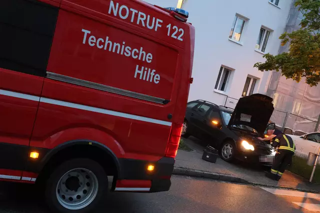 Für einen Schrecken beim Lenker eines Mercedes dürfte eine Schlange in Wels-Neustadt gesorgt haben, die sich während der Fahrt bemerkbar machte. | Foto: laumat.at