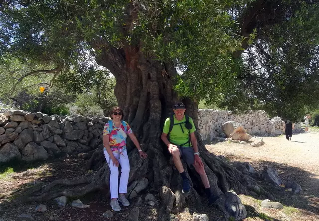 Gigi und ich unter dem über 1.600 Jahre alten Olivenbaum