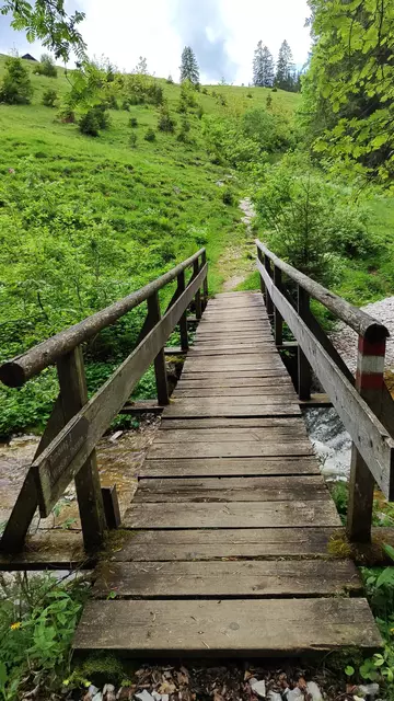 Über das Brückerl überquert man den Bach... | Foto: I.Wozonig 