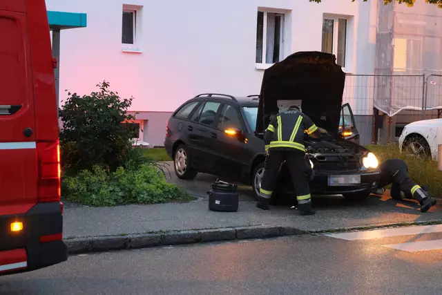 Für einen Schrecken beim Lenker eines Mercedes dürfte eine Schlange in Wels-Neustadt gesorgt haben, die sich während der Fahrt bemerkbar machte. | Foto: laumat.at