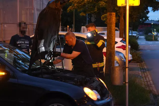 Für einen Schrecken beim Lenker eines Mercedes dürfte eine Schlange in Wels-Neustadt gesorgt haben, die sich während der Fahrt bemerkbar machte. | Foto: laumat.at