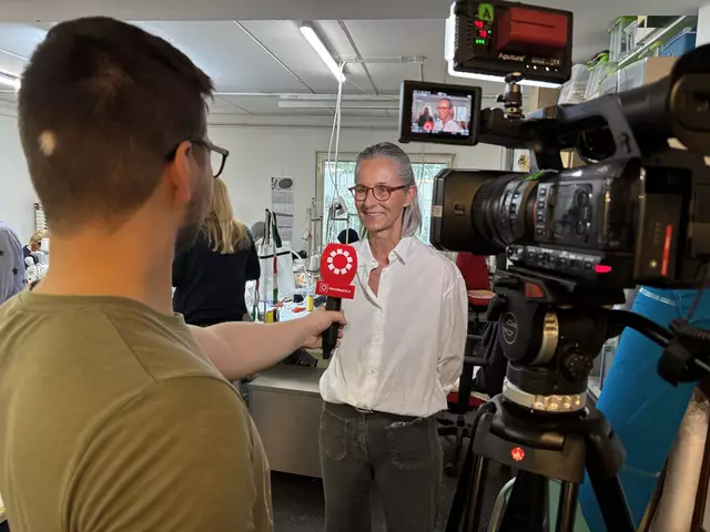 Foto: MeinBezirk/Andreas Pölzl
