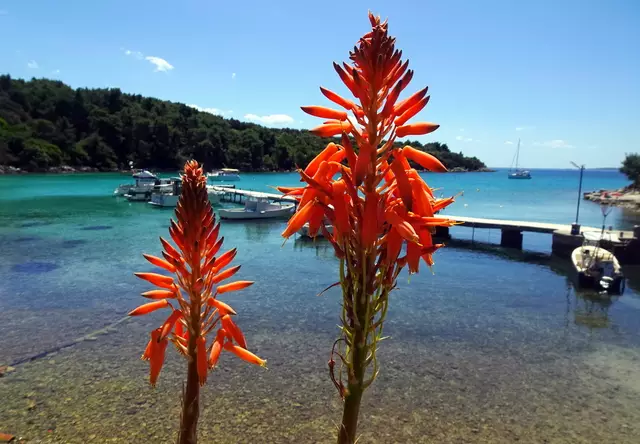 Genussblick auf's Meer hinaus