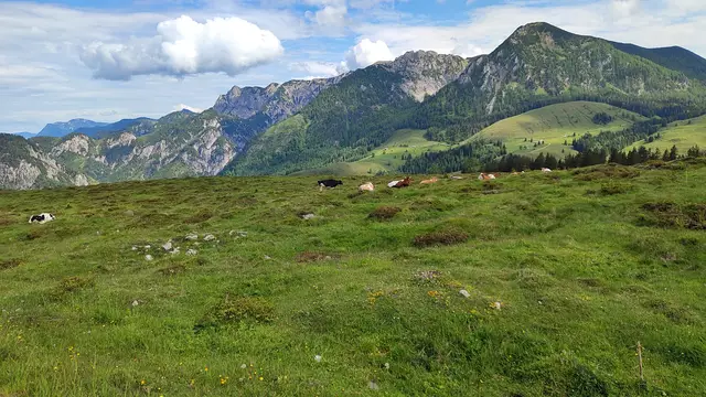 Almidylle... | Foto: I.Wozonig