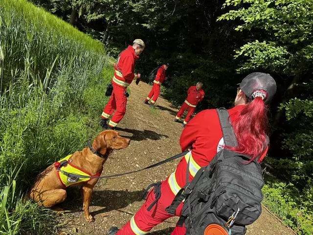 Die Österreichische Rettungshundebrigade (ÖRHB) führte Ende Mai eine große Landesübung mit allen zehn Staffeln, 70 Mitgliedern und 55 Hunden in Maria Schmolln durch. | Foto: ÖRHB OÖ