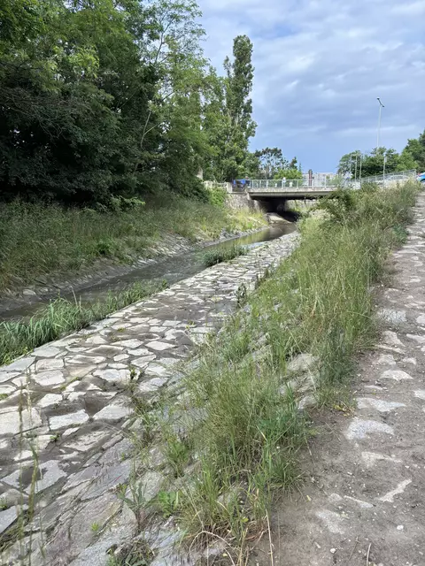 Foto: Lisa Kammann/MeinBezirk Wien