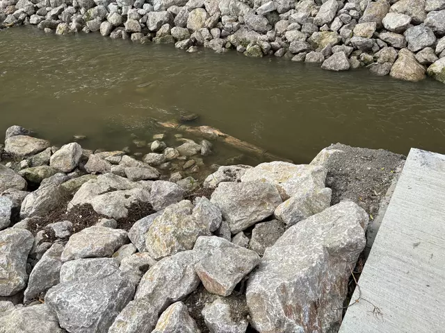 Foto: Lisa Kammann/MeinBezirk Wien