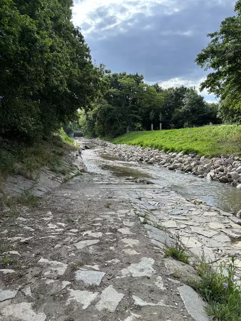 Foto: Lisa Kammann/MeinBezirk Wien