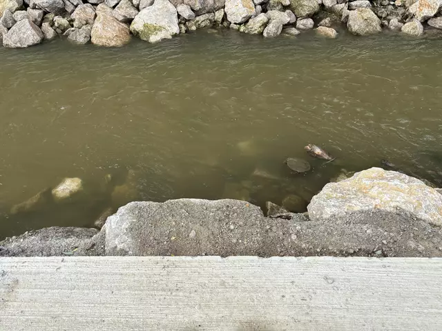 Foto: Lisa Kammann/MeinBezirk Wien