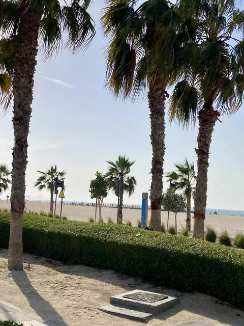 Wunderschön, die Strände in Dubai | Foto: em