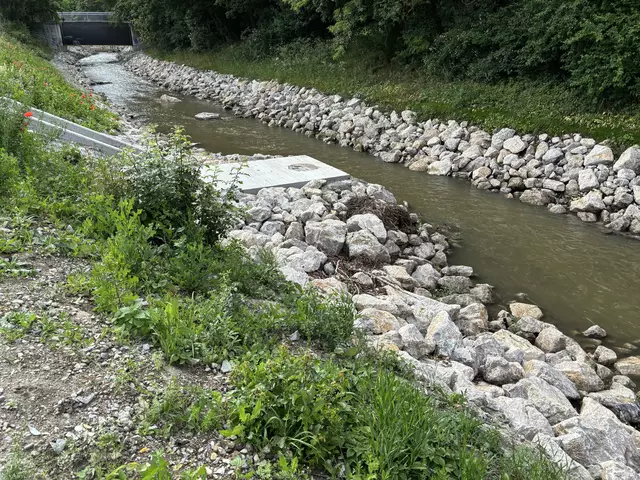 Foto: Lisa Kammann/MeinBezirk Wien