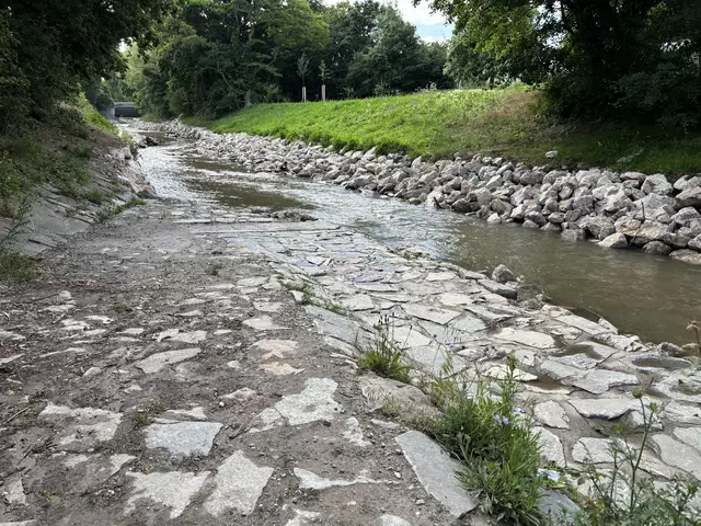 Es braucht mehr solcher einfach zugänglichen Wege zum Wasser – davon sind Anrainerinnen und Anrainer bei der Gutheil-Schoder-Gasse überzeugt.  | Foto: Lisa Kammann/MeinBezirk Wien