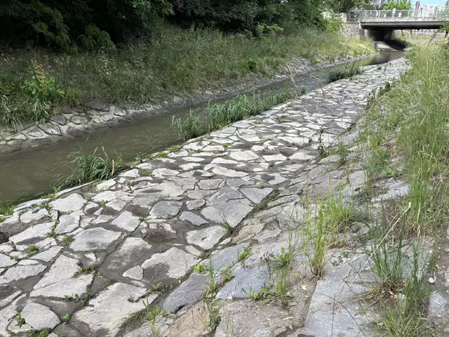 Im Sommer ist es direkt am Wasser kühler.  | Foto: Lisa Kammann/MeinBezirk Wien