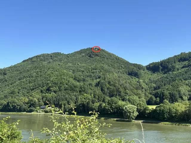 Blick von Grein auf die Schutzhütte. | Foto: MeinBezirk Perg/Köck