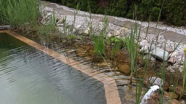 In den Uferzonen wachsen Gräser und Schilf | Foto: Privat