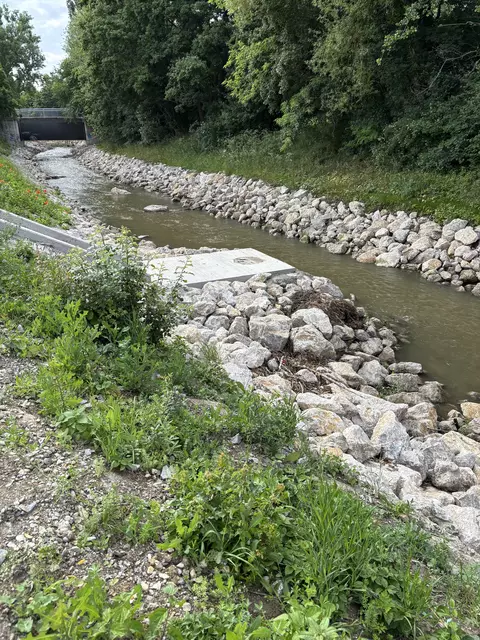 Foto: Lisa Kammann/MeinBezirk Wien