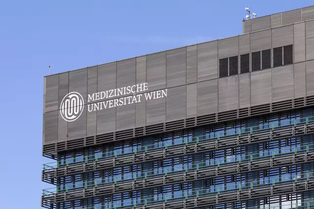 Die MedUni Wien konnte den Mechanismus hinter den Stromschüben im Gehirn erkennen. | Foto: Weingartner-Foto / picturedesk.com