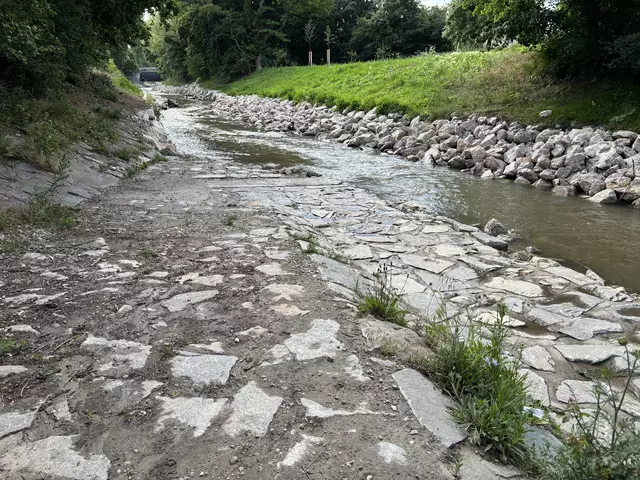 Foto: Lisa Kammann/MeinBezirk Wien