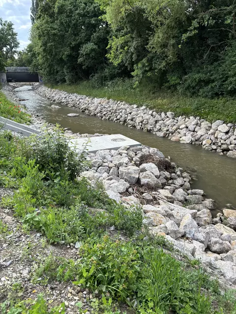 Foto: Lisa Kammann/MeinBezirk Wien