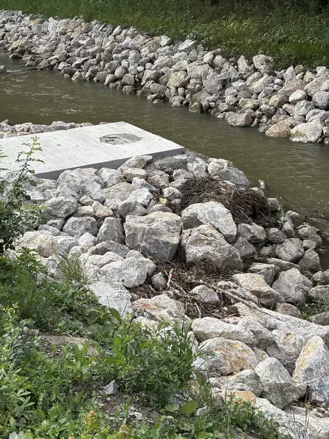 Foto: Lisa Kammann/MeinBezirk Wien