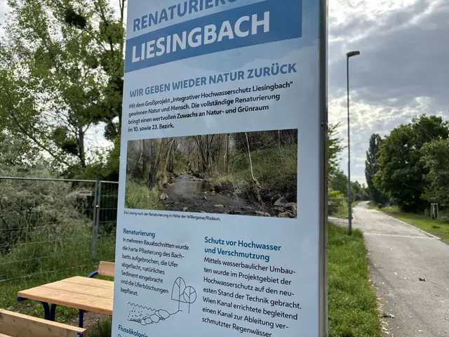 Infotafel zur Renaturierung am Liesingbach.  | Foto: Lisa Kammann/MeinBezirk Wien