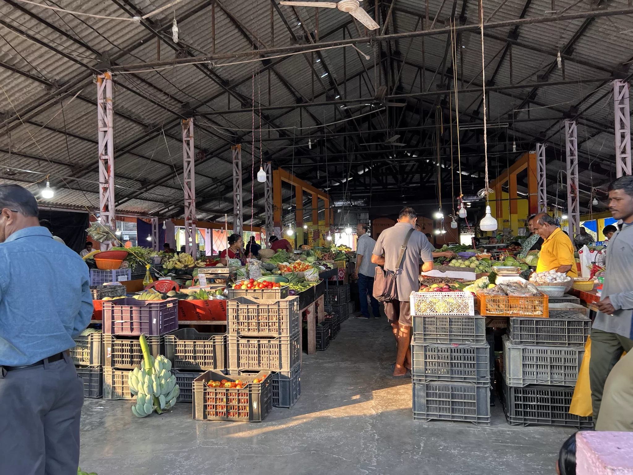 Alte-Kulturen-fantastische-Landschaften-und-Tiere