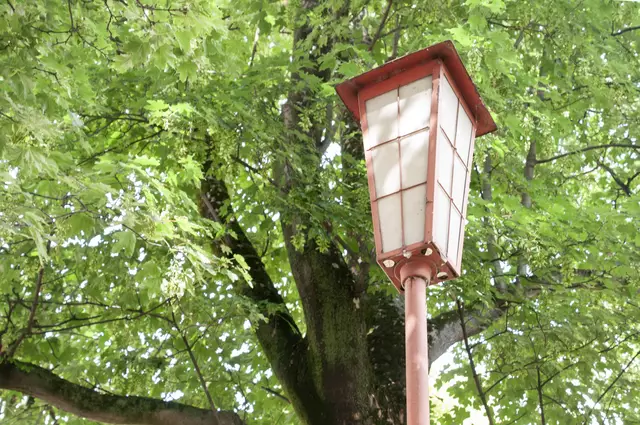 Foto: Wolfgang Unger/MeinBezirk