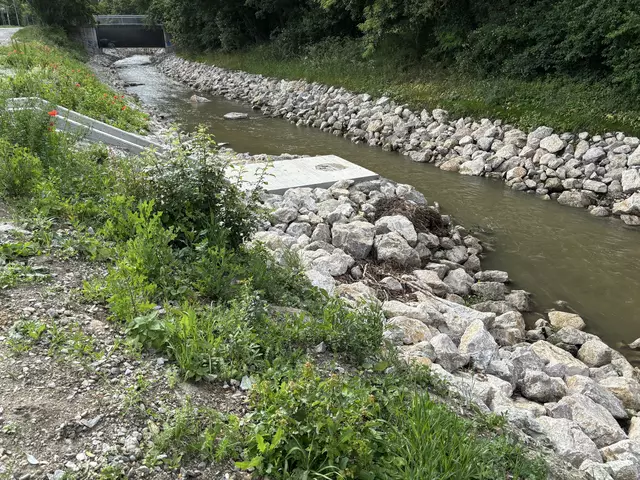 Foto: Lisa Kammann/MeinBezirk Wien