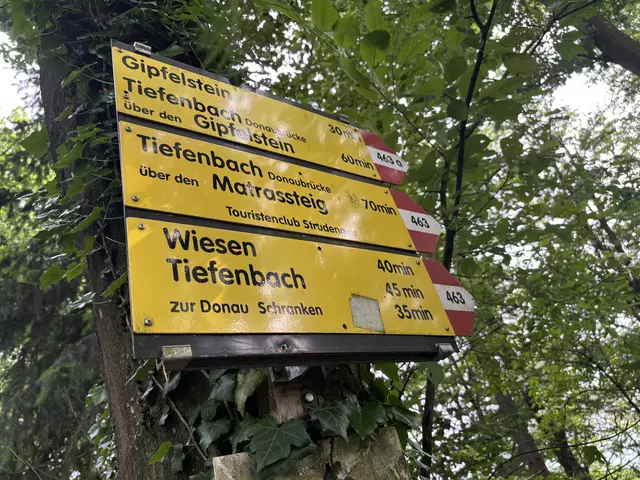 Der Matrassteig führt hier herauf. | Foto: MeinBezirk Perg/Köck