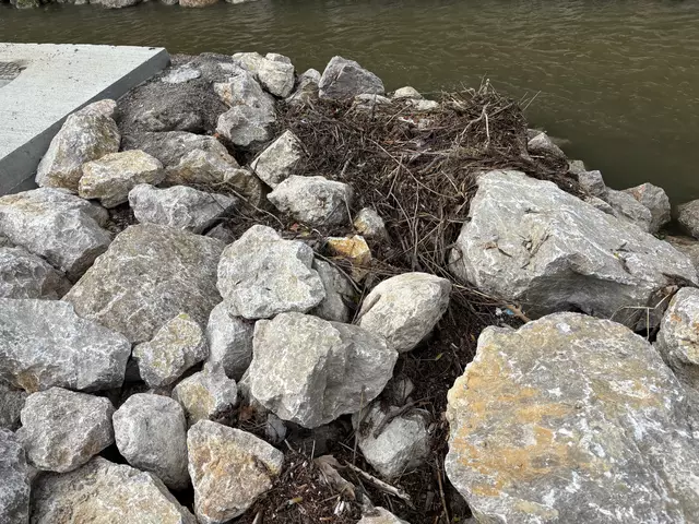 Foto: Lisa Kammann/MeinBezirk Wien