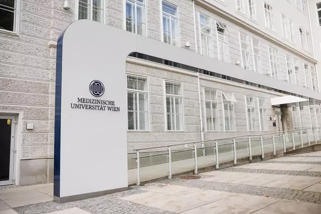 Bislang werden epileptische Fälle mit Medikamenten vor allem akut behandelt. Nach einer Studie der MedUni Wien könnte sich das bald ändern. | Foto: Medizinische Universität Wien/APA-Fotoservice/Hollunder