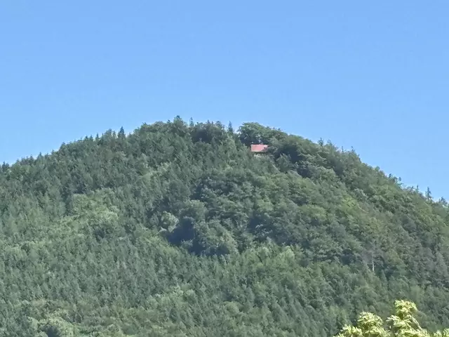 Blick von Grein auf die Schutzhütte. | Foto: MeinBezirk Perg/Köck
