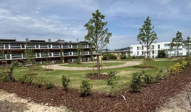 Gesammeltes Wasser von Wohngebäudedächern versorgt die Pflanzen im Riesenederpark in Pregarten. | Foto: Stadtamt Pregarten