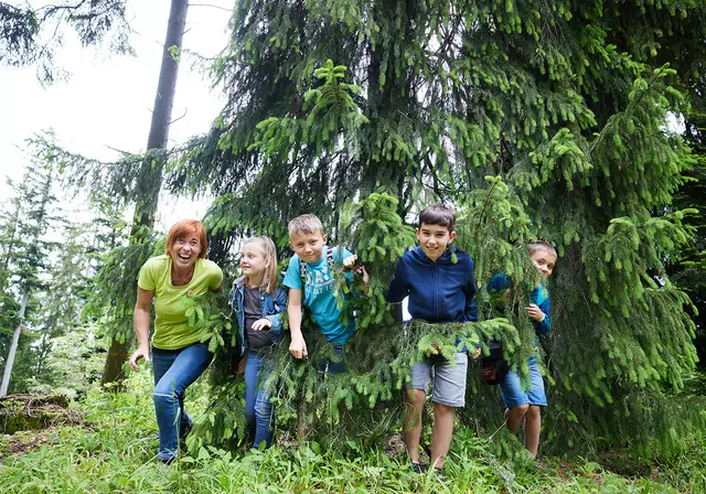 Sabine Ablinger (l.) vom Bruckbacherhof in Weyregg lädt beim Naturschauspiel zu Tauchgängen ins Waldmeer ein. | Foto: Stockinger