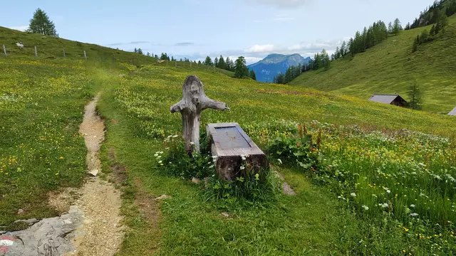 Bei der Schafbergblickhütte machen wir noch einen Abstecher zum Wolfgangseeblick... | Foto: I.Wozonig 