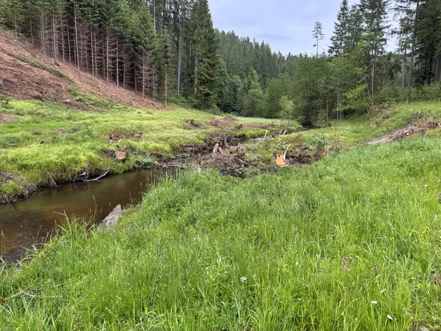 Foto: MeinBezirk/Gernot Fohler