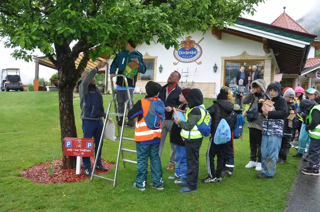 Die Erpfendorfer Volksschulkinder durften die Vogelnistkästen am Golfplatz selbst an den Obstbäumen anbringen