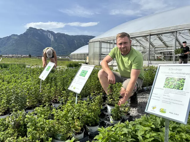 Tobias Winklhofer im Kräutergarten vor dem Gewächshaus. | Foto: Simon Haslauer