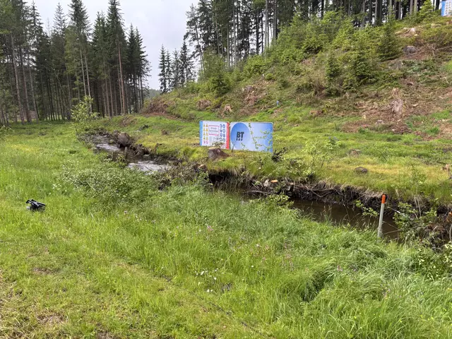 Foto: MeinBezirk/Gernot Fohler