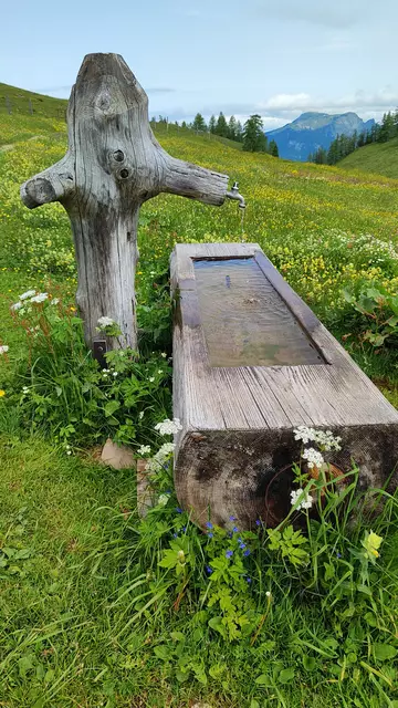 So schön ,,almerisch".... | Foto: I.Wozonig 