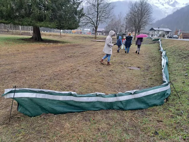 Kurz nach der Schneeschmelze wurden die ersten Zäune im Außerfern aufgestellt. | Foto: REA