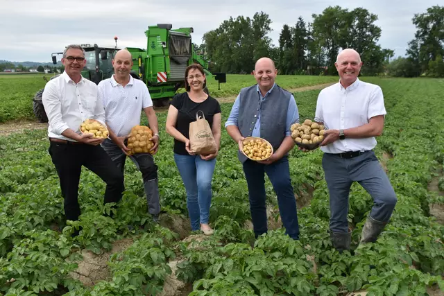 Erdäpfelernte am Betrieb von Manuela und Kurt Kirchmayr in Pupping (2. und 3. v.l.) mit Landwirtschaftskammer OÖ-Präsident Franz Waldenberger (l.), Thomas Kraxberger, Obmann der Bezirksbauernkammer Eferding und Erdäpfelbauer in Hartkirchen (2.v.r.) und Ewald Mayr, Obmann der Gemüse-, Erdäpfel- und Obstbauern OÖ (r.).  | Foto: LK OÖ/Hamedinger