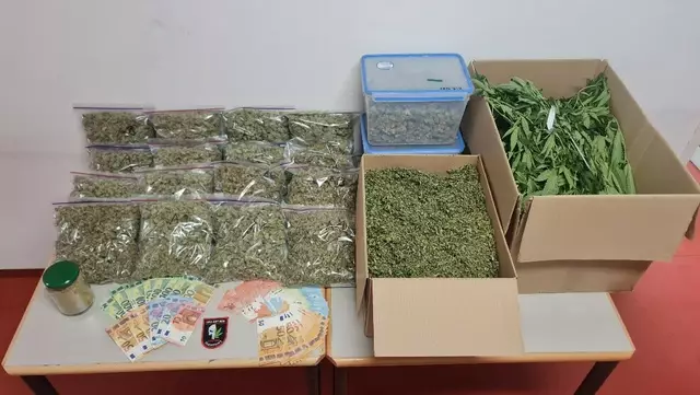 Diese Mengen an Cannabis, Pflanzen und Bargeld wurden von der Polizei sichergestellt. | Foto: LPD Wien