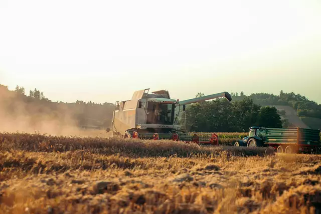 Die Landwirtschaft ist besonders vom Klimawandel betroffen. | Foto: Vinzenz Feitzlmayr