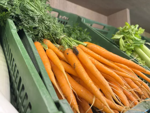 Foto: Simon Haslauer