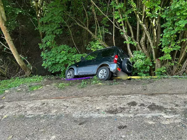 Die Lenkerin konnte sich selbst aus dem Fahrzeug befreien und blieb unverletzt. | Foto: FF Klosterneuburg Kierling