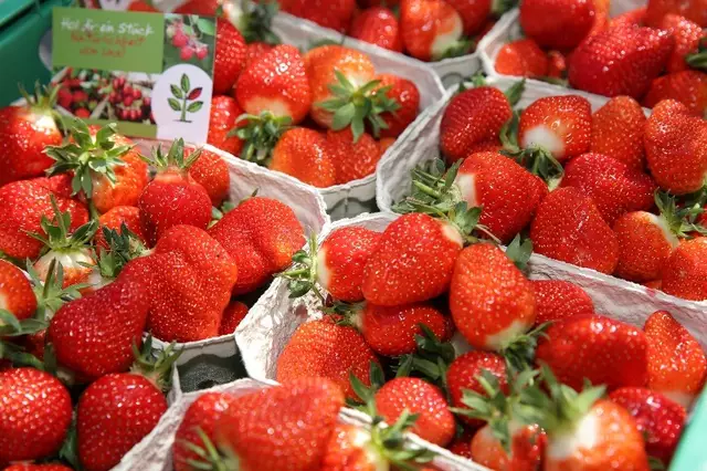 Erdbeeren aus Kukmirn haben jetzt Hochsaison, die Verwendungsvielfalt in der Küche ist groß. | Foto: AMA