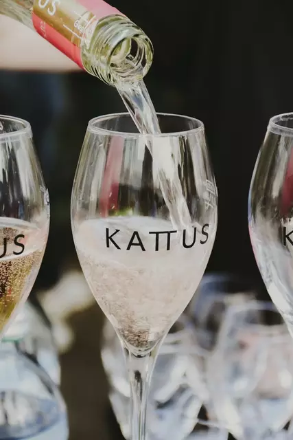 Foto: KATTUS